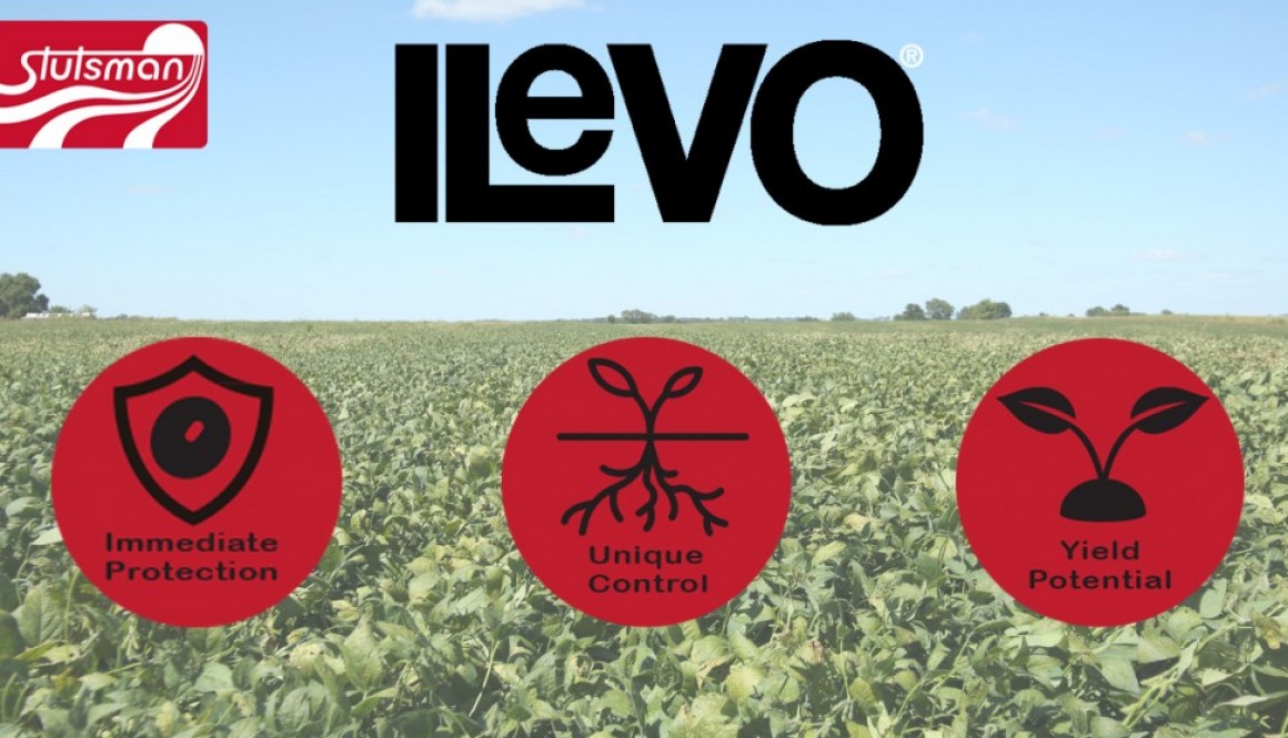Eldon-C-Stutsman-Inc-ILeVO-Seed-Treatment-Protection-Against-SDS-Nematodes
