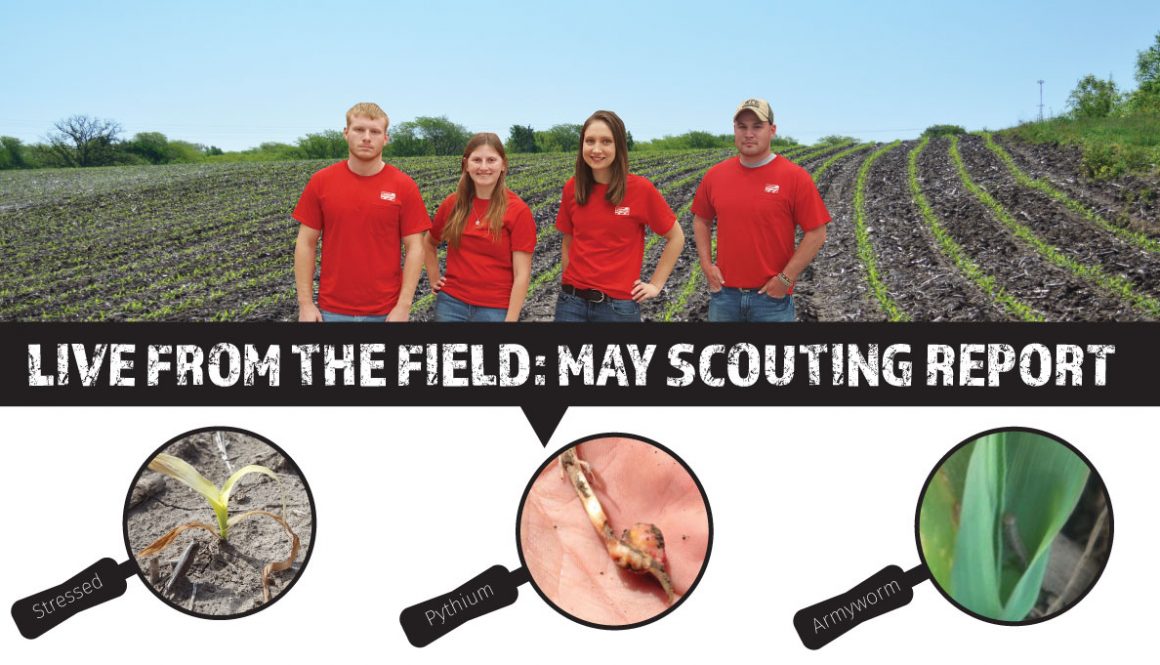 Eldon-C-Stutsman-Inc-Live-From-the-Field-May-Crop-Scouting-Report