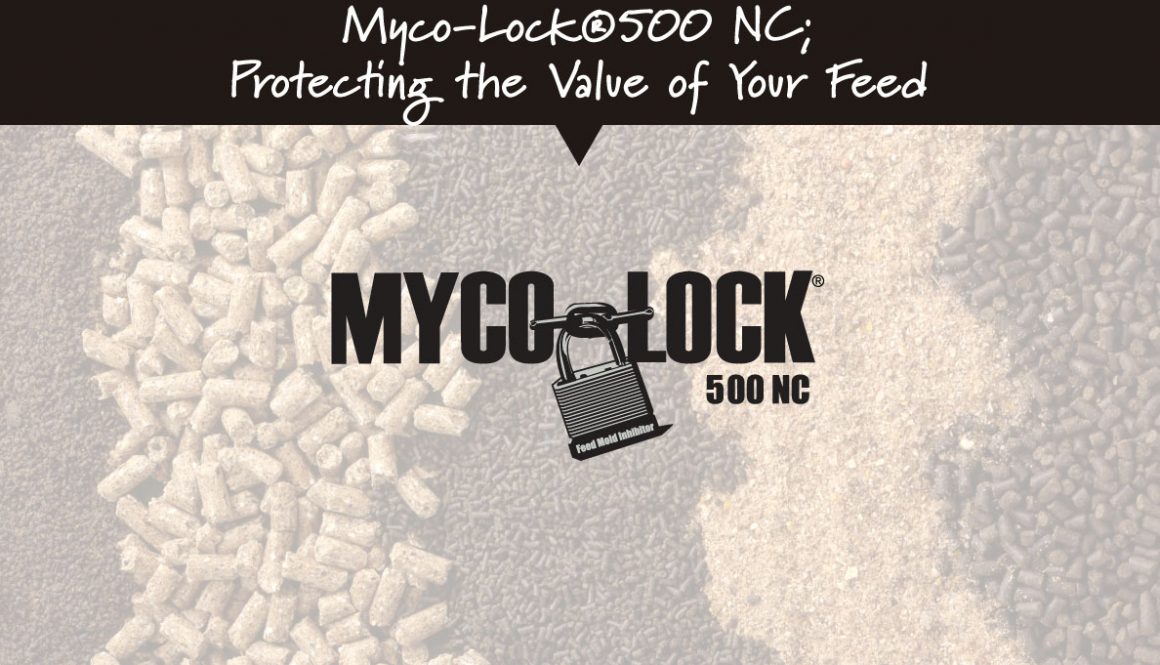 Eldon-C-Stutsman-Inc-Myco-Lock500NC-Protecting-the-Value-of-Feed