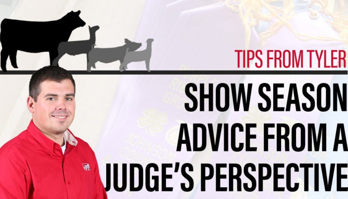 Eldon-C-Stutsman-Inc-Show-Season-Advice-From-A-Judges-Perspective