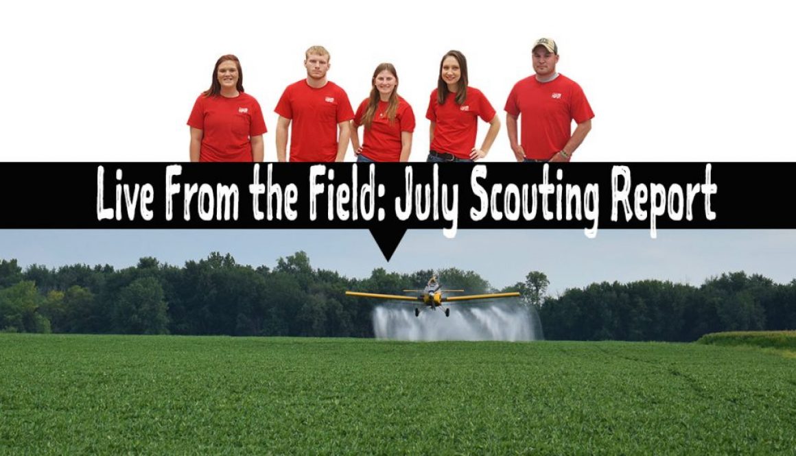 Eldon-C-Stutsman-Inc-Live-From-the-Field-July-Scouting-Report