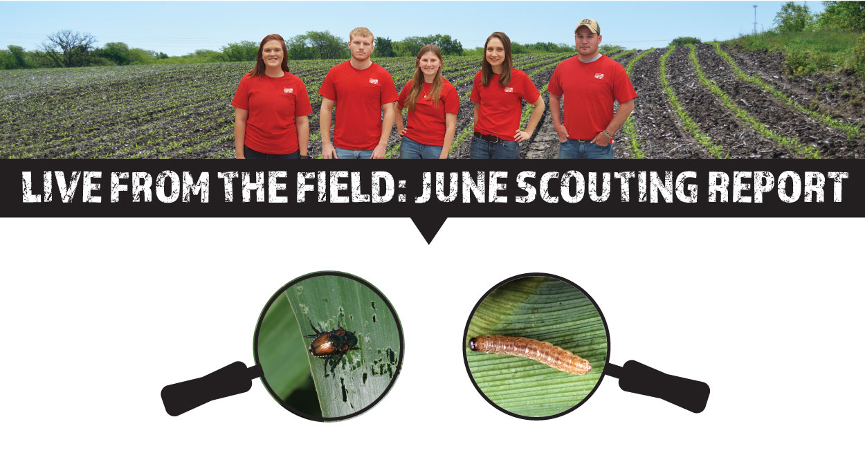 Eldon-C-Stutsman-Inc-Live-From-the-Field-June-Crop-Scouting-Report