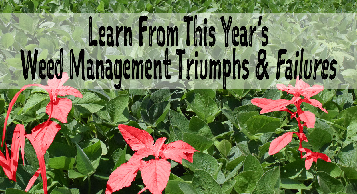 Learn-from-this-year's-weed-management-triumphs-and-failure Learn-from-this-year's-weed-management-triumphs-and-failure