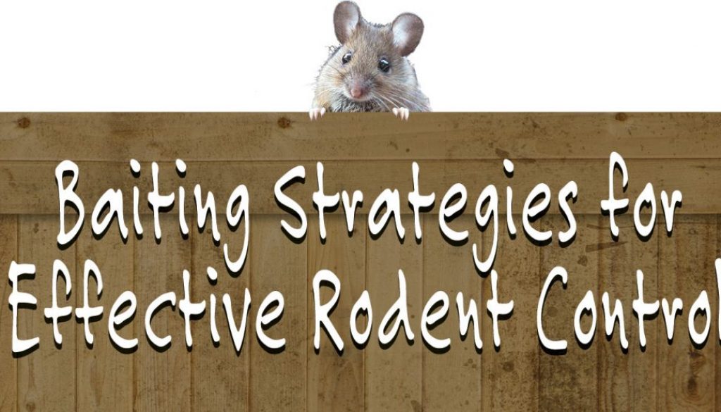 eldon-c-stutsman-inc-baiting-strategies-for-rodent-control