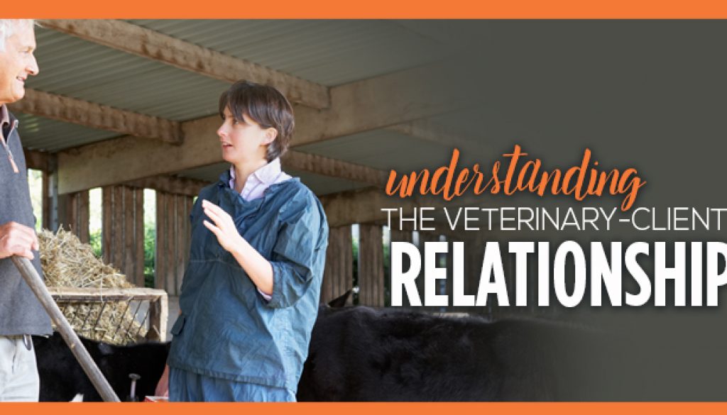 understanding-veterinary-client-patient-relationships