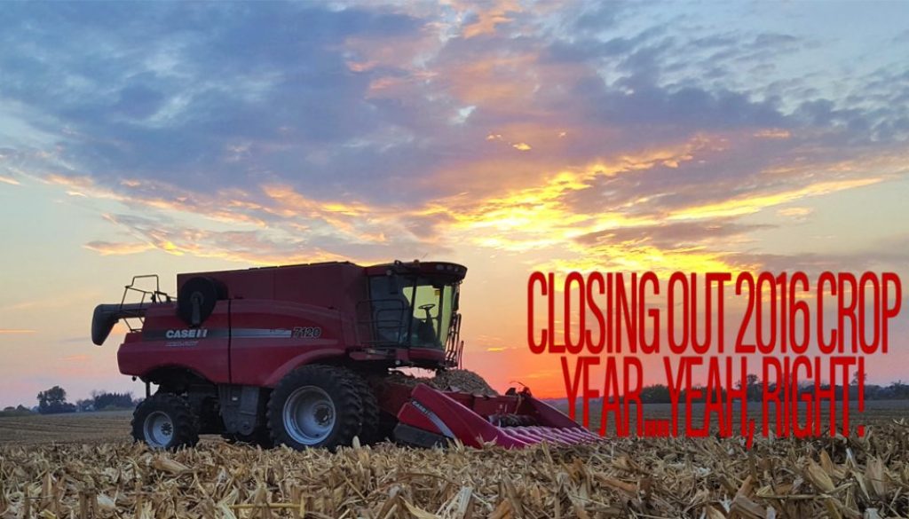 eldon-c-stutsman-inc-closing-out-2016-crop-year