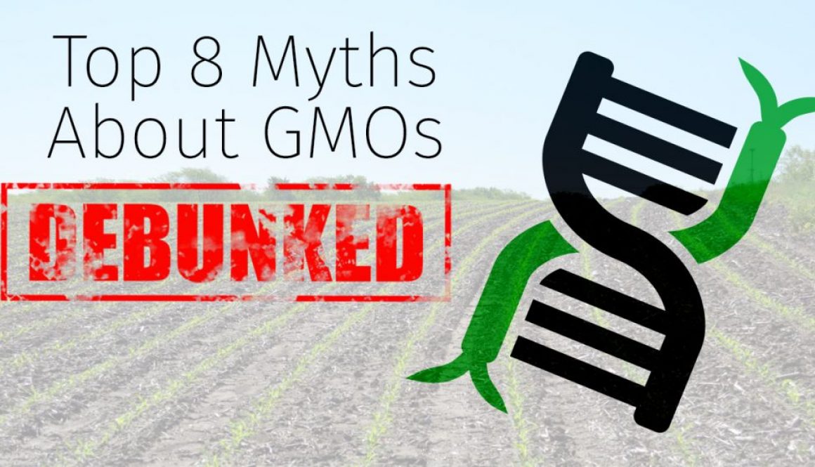 Eldon-C-Stutsman-Inc-Top-8-Myths-About-GMOs-Debunked