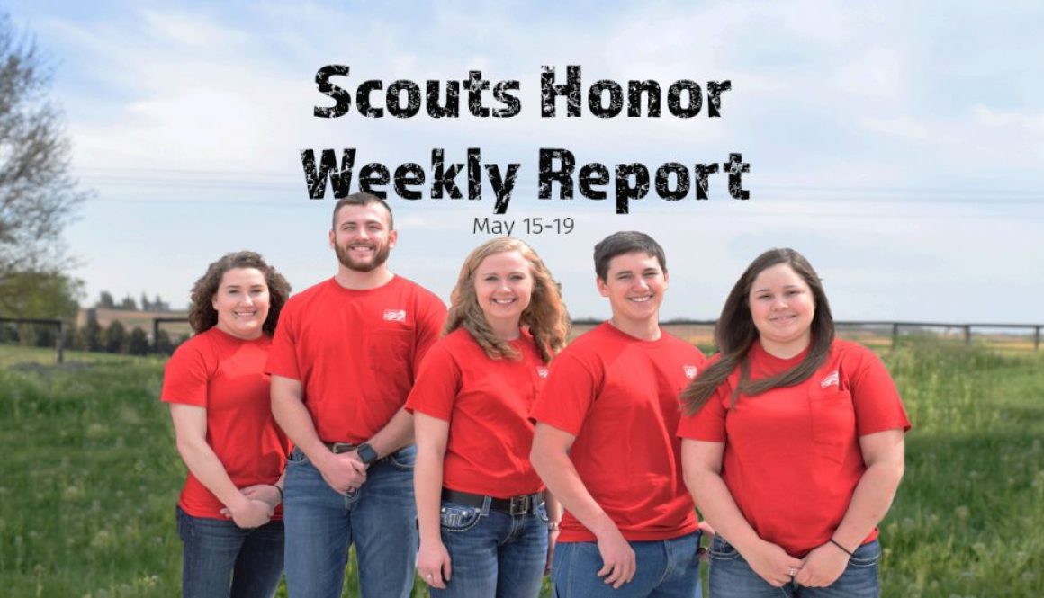 Eldon-C-Stutsman-Inc-Scouts-Honor-Week-1