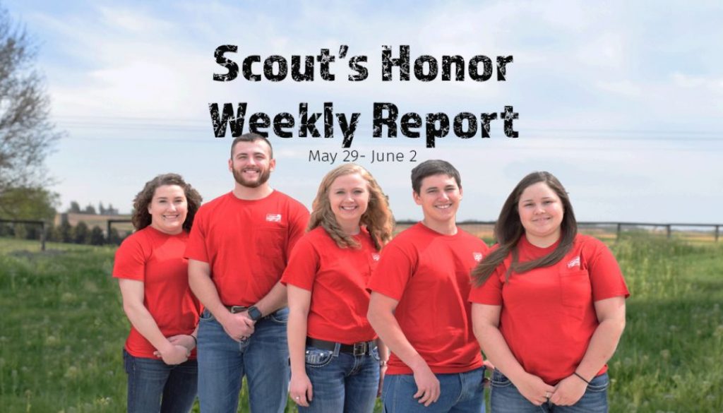 Eldon-C-Stutsman-Inc-Scouts-Honor-Week-3