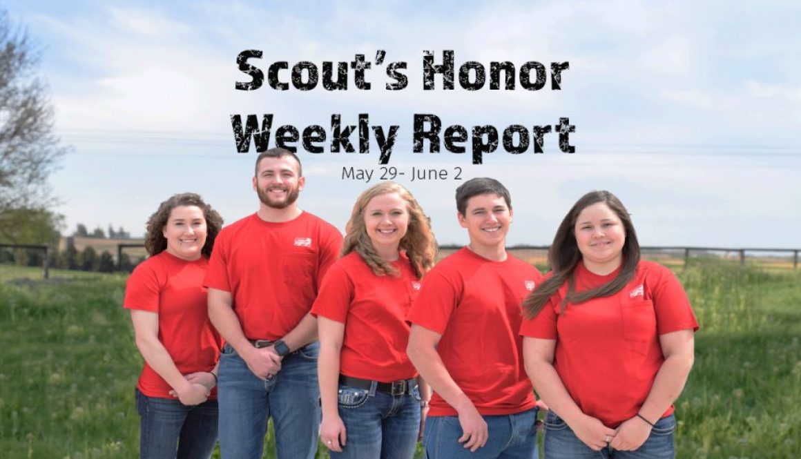 Eldon-C-Stutsman-Inc-Scouts-Honor-Week-3