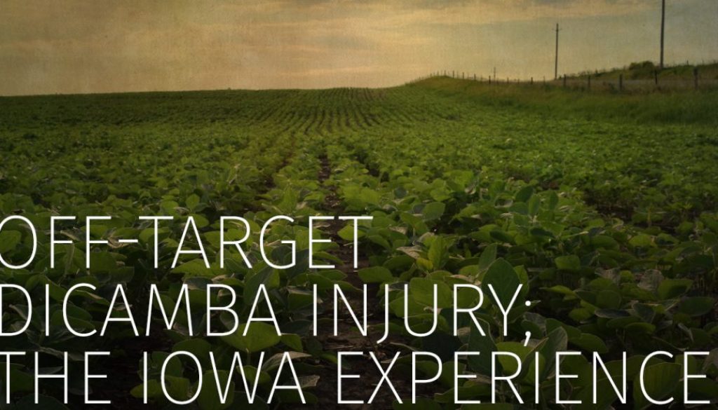Eldon-C-Stutsman-Inc-Off-Target-Dicamba-Injury-The-Iowa-Experience