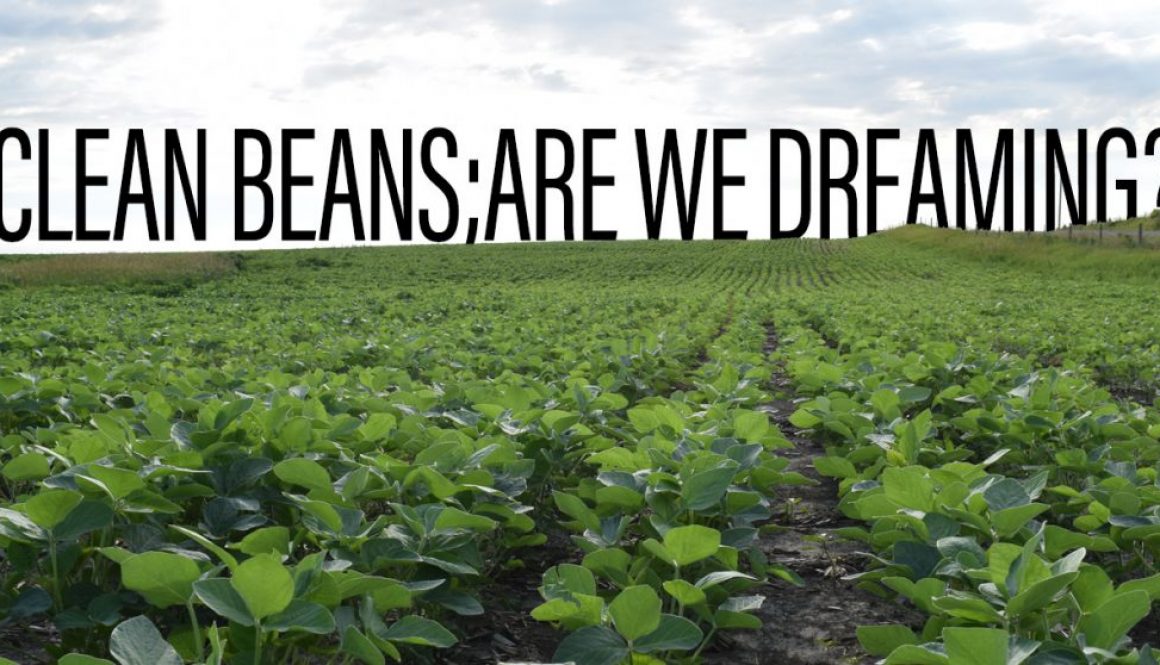 Eldon-C-Stutsman-Inc-Clean-Beans-Are-We-Dreaming