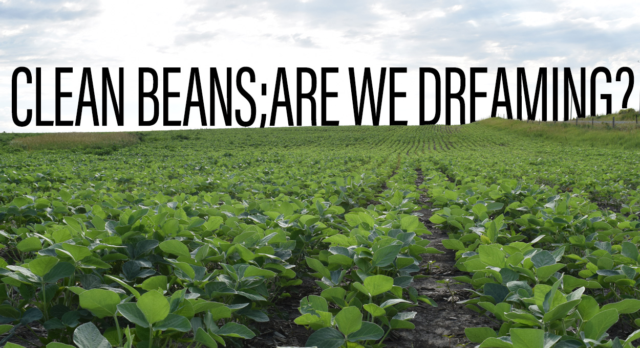 Eldon-C-Stutsman-Inc-Clean-Beans-Are-We-Dreaming