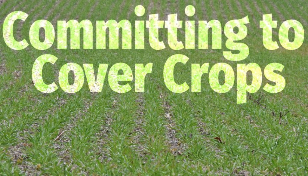 Committing-to-Cover-Crops