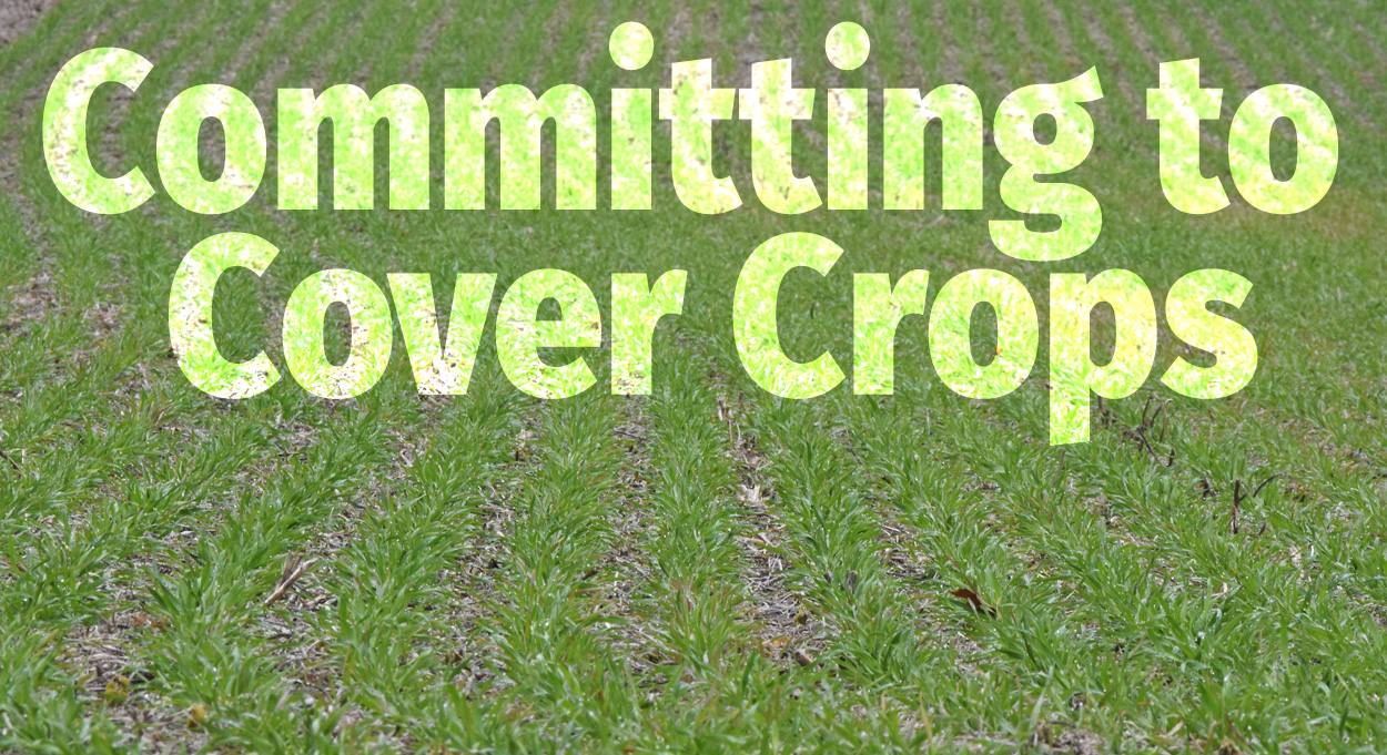 Committing-to-Cover-Crops
