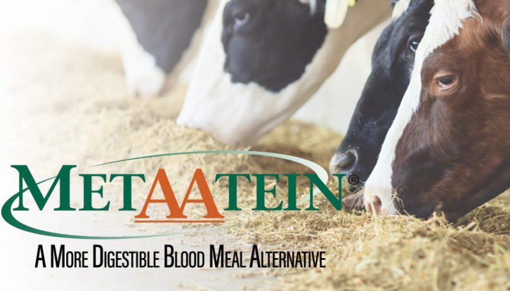 Eldon-C-Stutsman-Inc-MetAAtein-A-More-Digestible-Blood-Meal-Alternativep