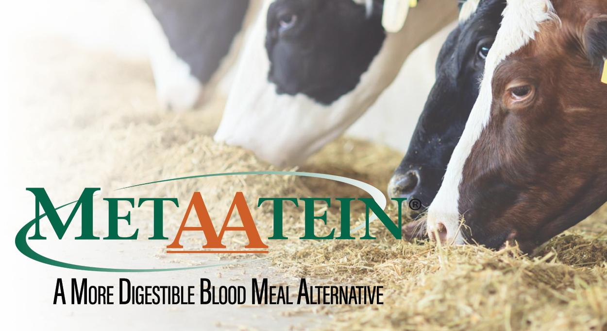 Eldon-C-Stutsman-Inc-MetAAtein-A-More-Digestible-Blood-Meal-Alternativep