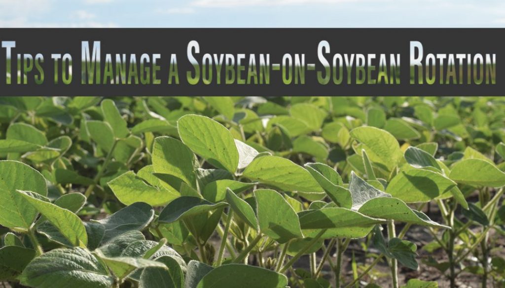Eldon-C-Stutsman-Inc-Tips-to-Manage-a-Soybean-on-Soybean-Rotation