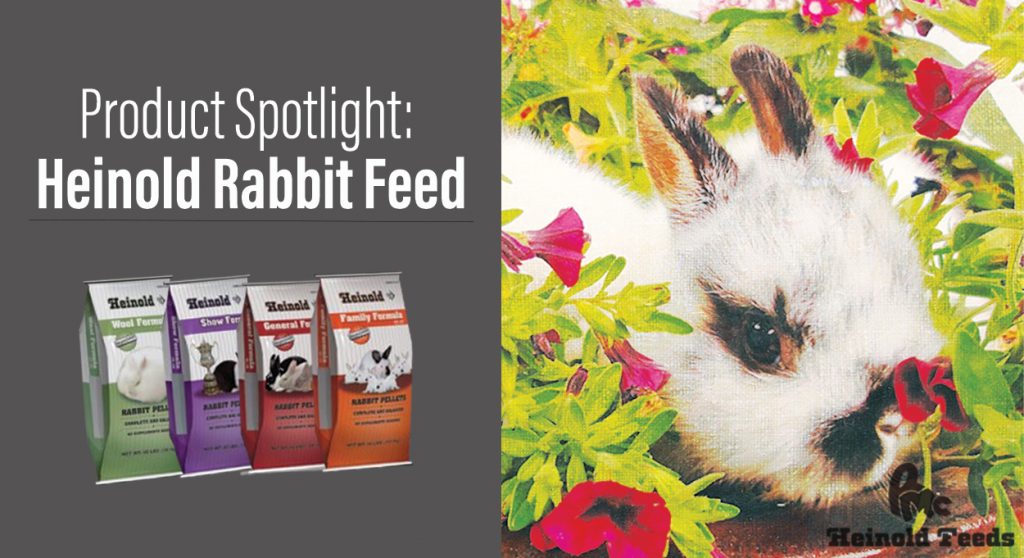 heinold rabbit feed