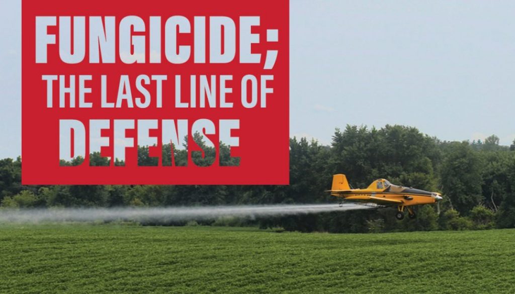 Eldon-C-Stutsman-Fungicide;-the-last-line-of-defense