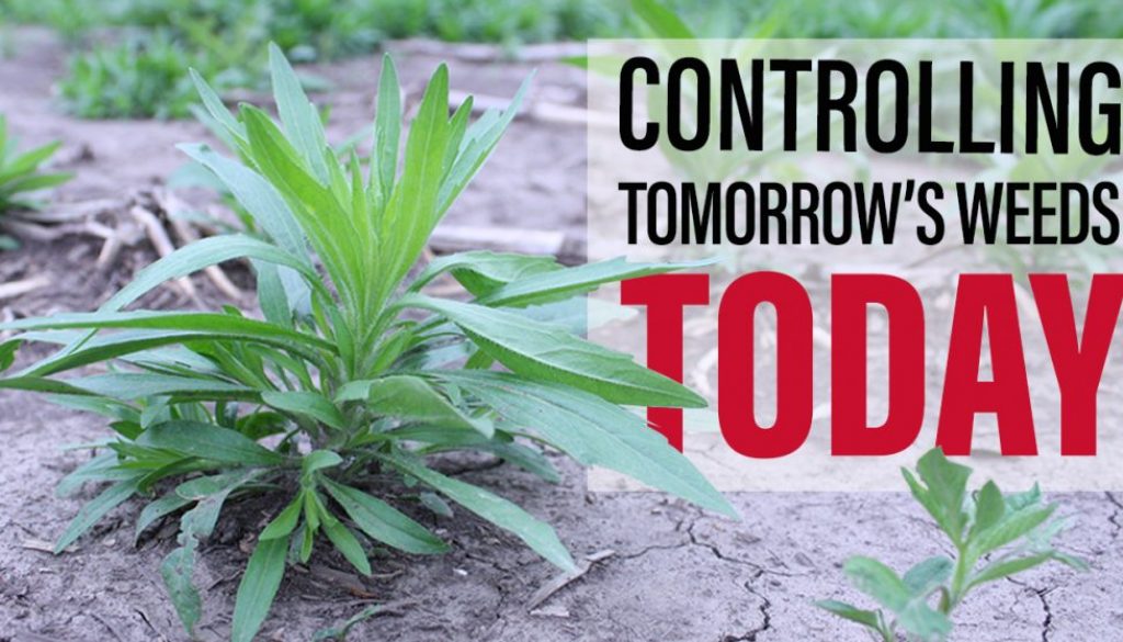 Eldon-C-Stutsman-Inc-Controlling-Tomorrows-Weeds-Today