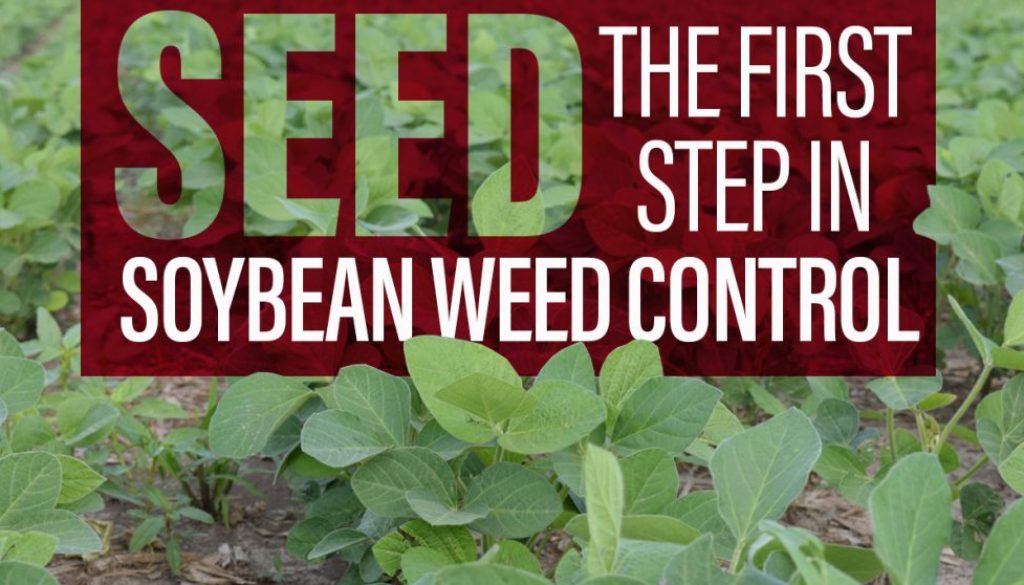 Eldon-C-Stutsman-Inc-Seed-the-First-Step-in-Soybean-Weed-Control