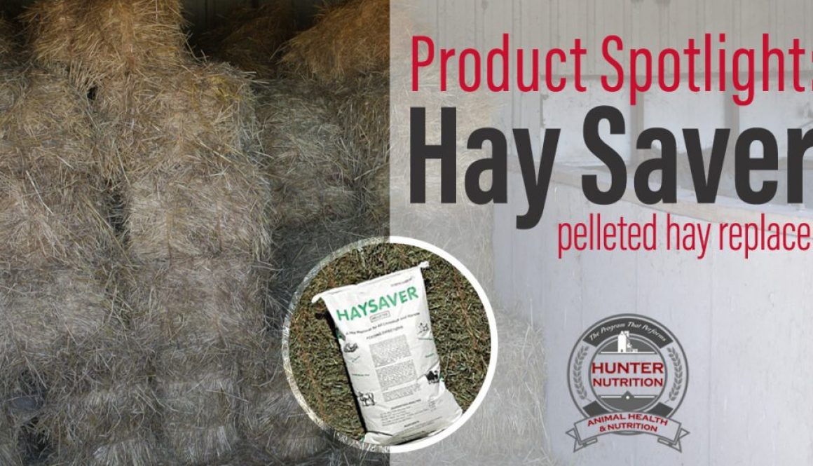 Eldon-C-Stutsman-Inc-Product-Spotlight-Hay-Saver