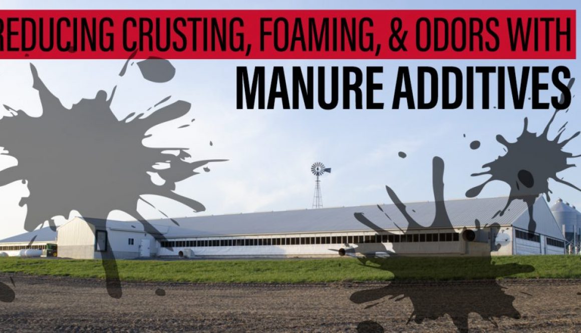 Eldon-C-Stutsman-Inc-Reducing-Crusting-Foaming-&-Odors-with-Manure-Additives