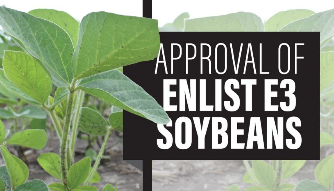 Eldon-C-Stutsman-Inc-Approval-Of-Enlist-E3-Soybeans