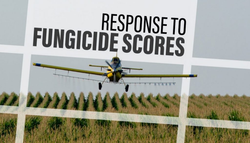 Eldon-C-Stutsman-Inc-Response-to-Fungicide-Scores