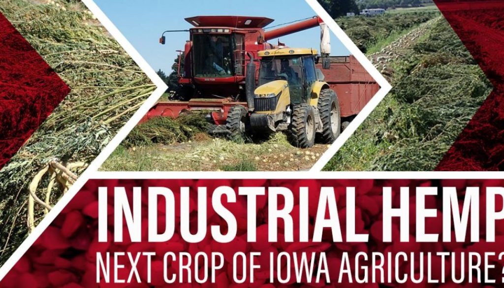 Eldon-C-Stutsman-Inc-Industrial-Hemp-Next-Crop-of-Iowa-Agriculture