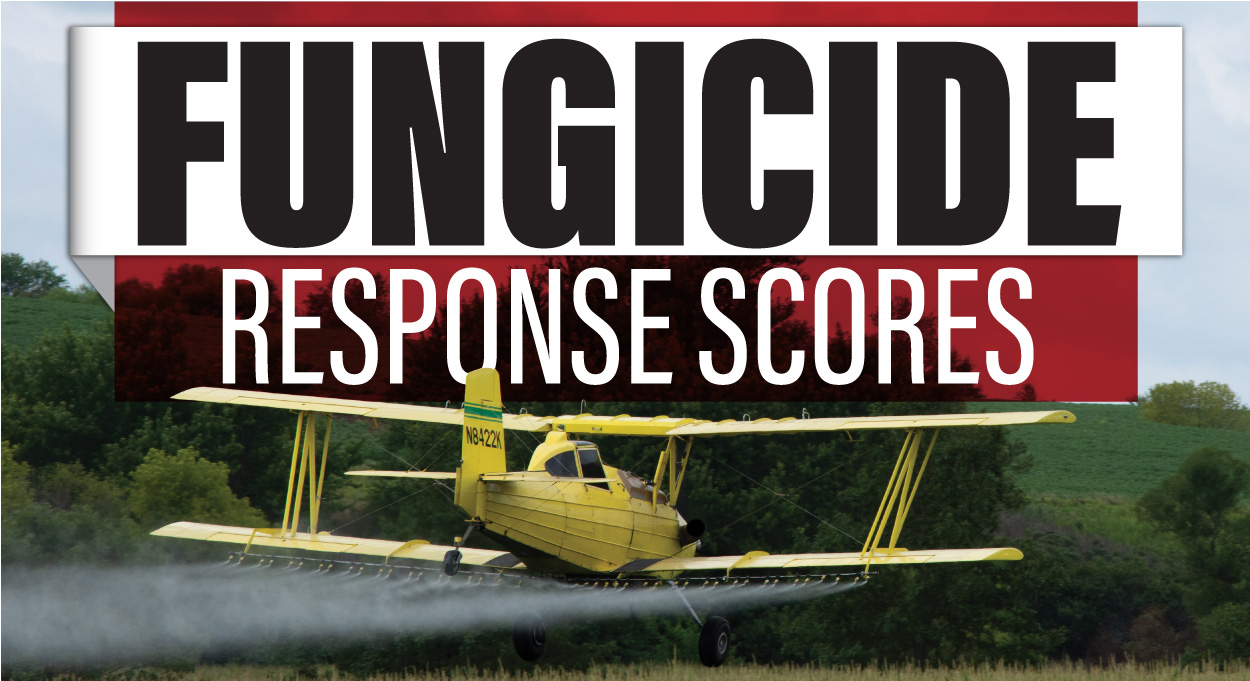 Eldon-C-Stutsman-Inc-Fungicide-Response-Scores Eldon-C-Stutsman-Inc-Fungicide-Response-Scores