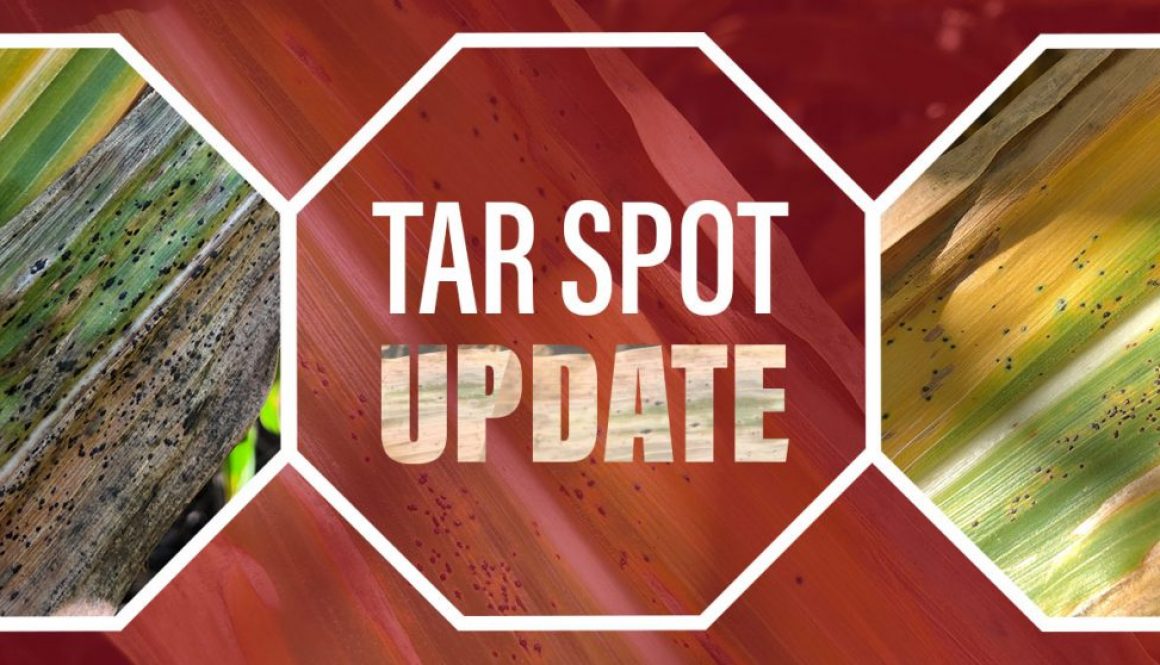 Eldon-C-Stutsman-Inc-Tar-Spot-Update