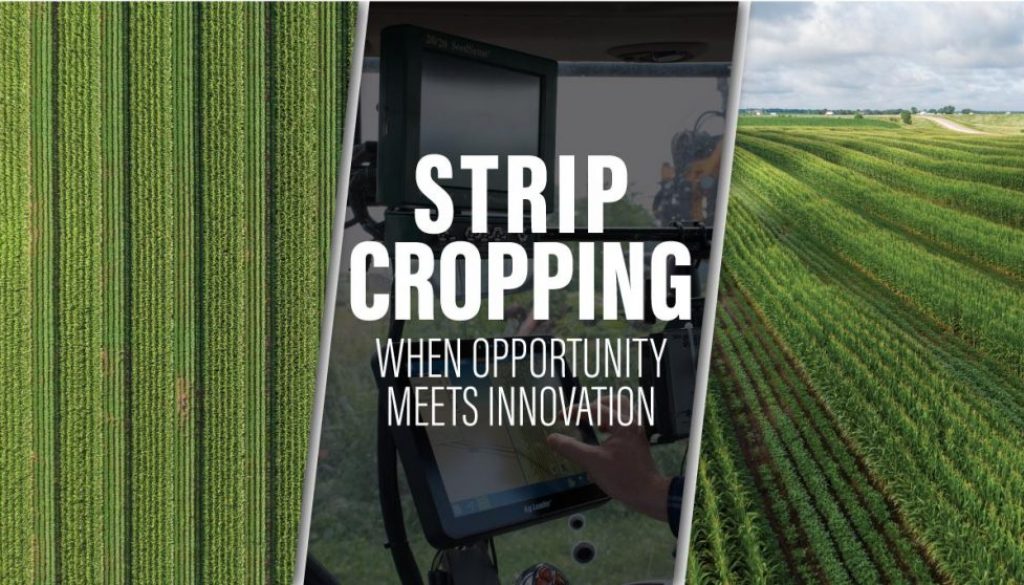 Eldon-C-Stutsman-Inc-Strip-Cropping-When-Oppotunity-Meets-Innovation