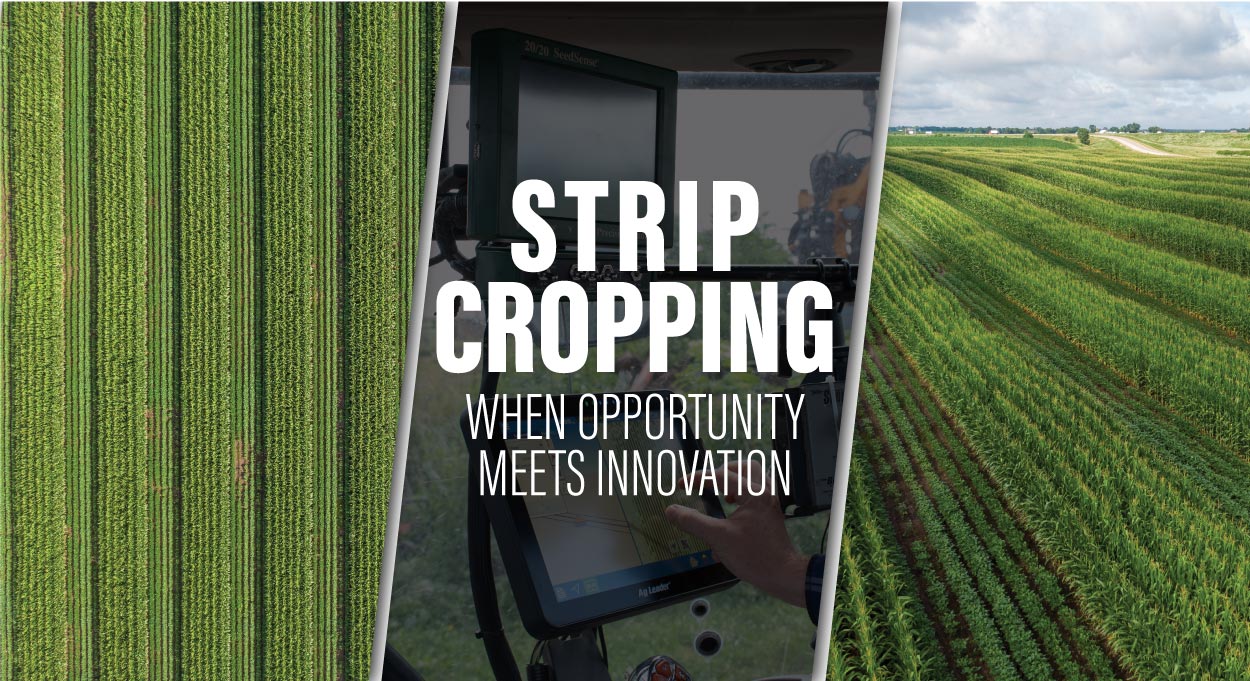 Eldon-C-Stutsman-Inc-Strip-Cropping-When-Oppotunity-Meets-Innovation Eldon-C-Stutsman-Inc-Strip-Cropping-When-Oppotunity-Meets-Innovation