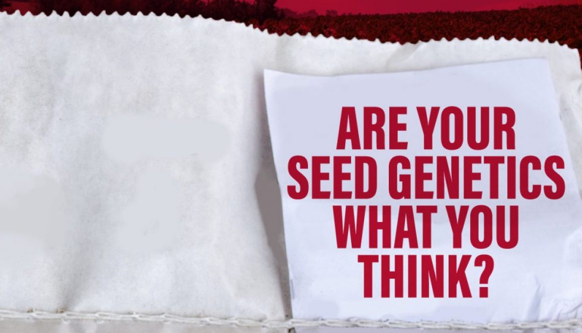 Eldon-C-Stutsman-Inc-Are-Your-Seed-Genetics-What-You-Think