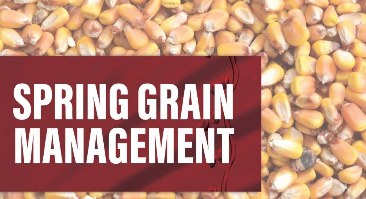 Eldon-C-Stutsman-Inc-Spring-Grain-Management