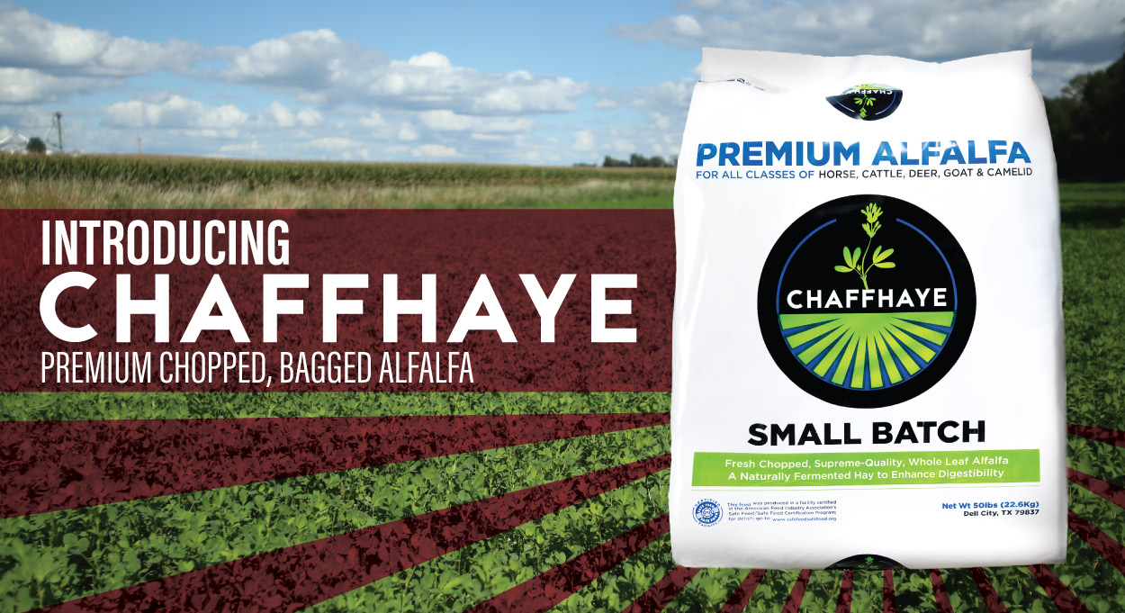 Chaffhaye Premium Alfalfa