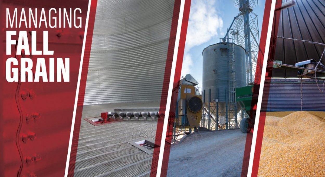 Managing Fall Grain-Inside Grain Bin-Grain Dryer-Stirrator