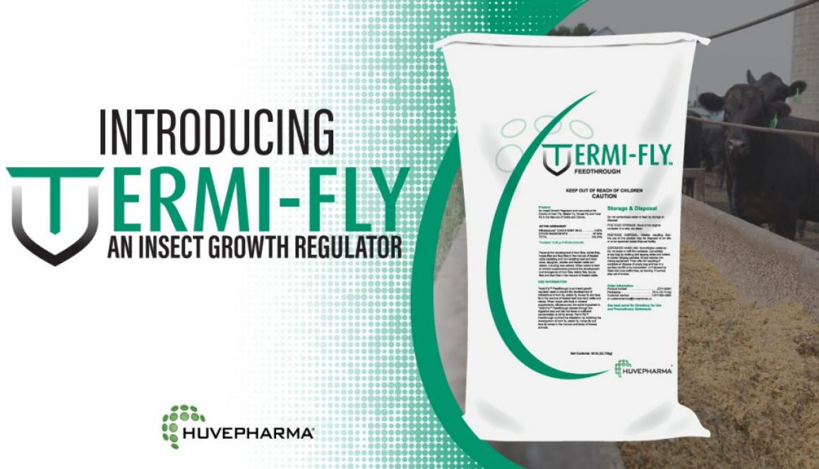 Termifly Cattle Feed Bunk