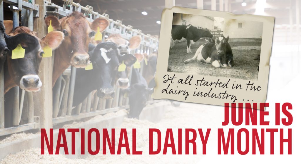 June is National Dairy Month: It all started in the dairy industry