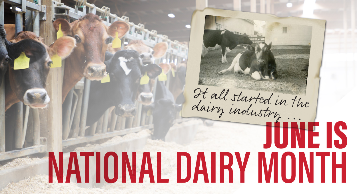 June is National Dairy Month It all started in the dairy industry