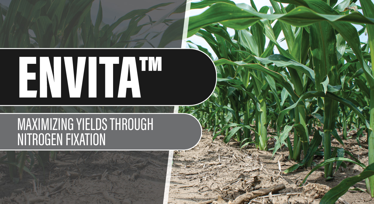 Eldon-C-Stutsman-Inc-Envita-Maximizing-Yields-Through-Nitrogen-Fixation-1 Eldon-C-Stutsman-Inc-Envita-Maximizing-Yields-Through-Nitrogen-Fixation-1
