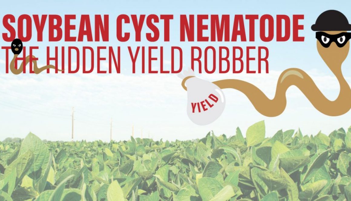 Eldon-C-Stutsman-Inc-Soybean-Cyst-Nematode-The-Hidden-Yield-Robber