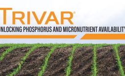 Eldon-C-Stutsman-Inc-Trivar-Unlocking-Phosphorus-Micronutrient-Availability-1