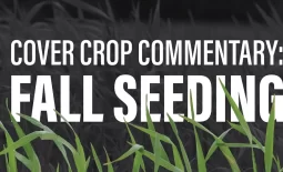 Cover Crop Commentary: Fall Seeding Text With a Grass Background