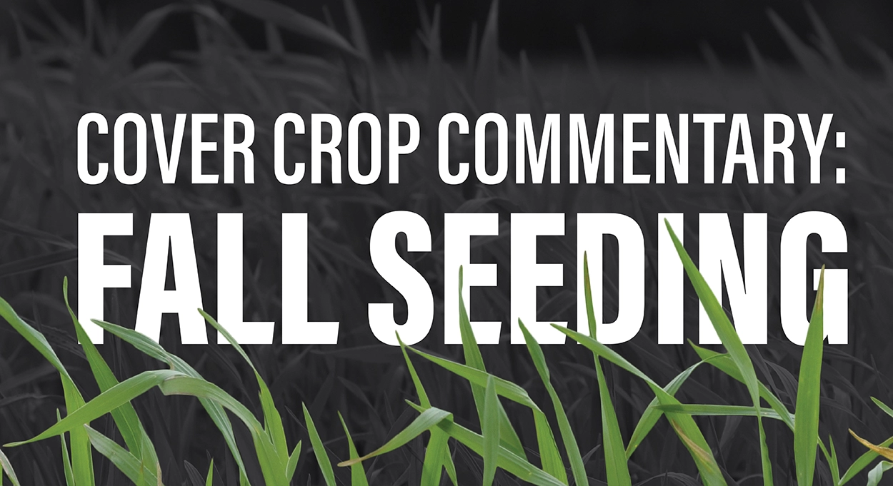 Cover Crop Commentary: Fall Seeding Text With a Grass Background