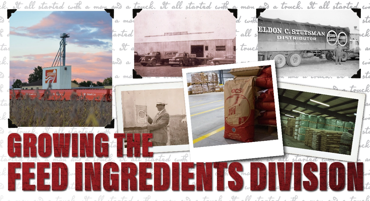 Collage of old and new feed division photos