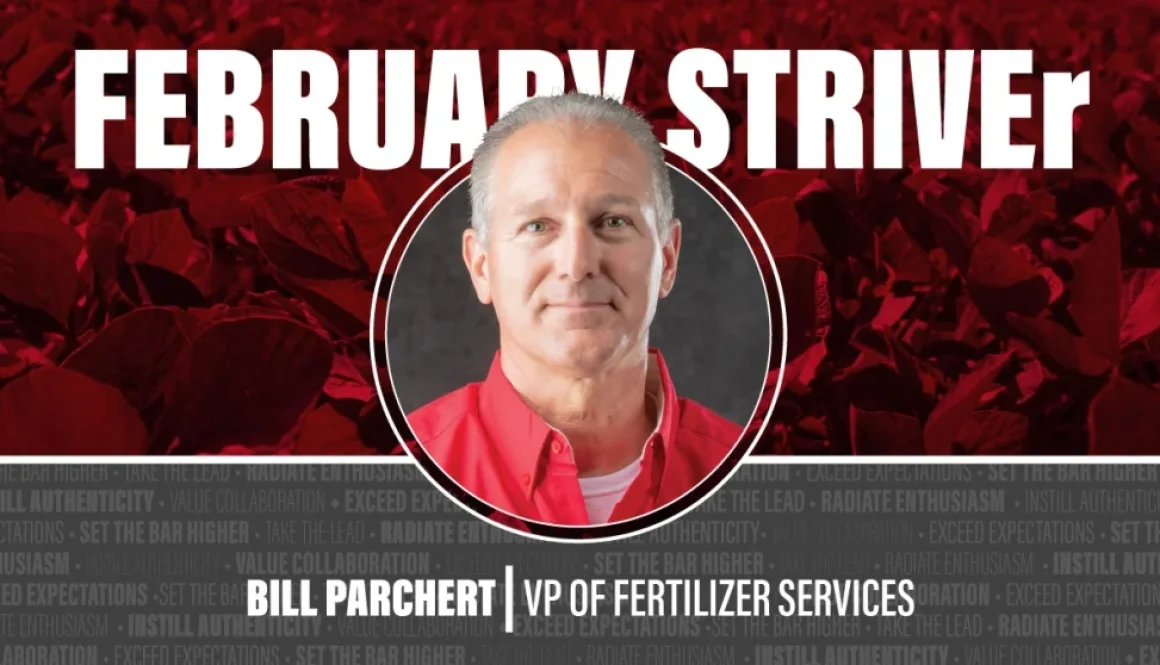 February 2025 STRIVEr