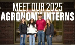 Meet the Interns from Stutman's